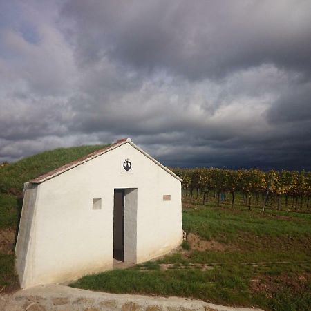 Weingut Wagner Apartman Leodagger Kültér fotó